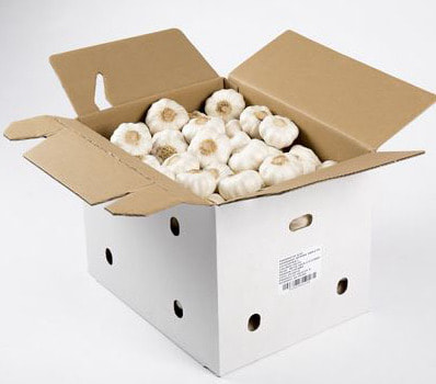 buy online the best garlic in the world, BOX OF GARLIC Wholesaler