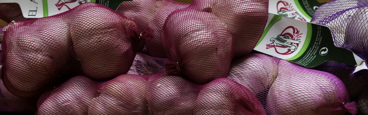 garlic exporting countries