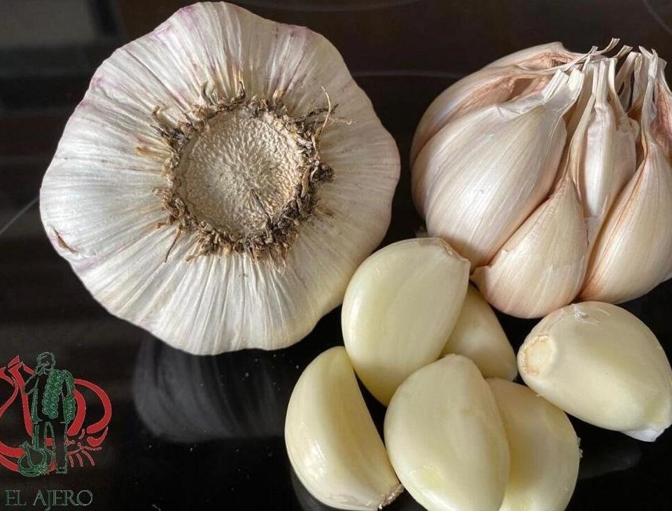 garlic health benefits, what are the health benefits of garlic, does garlic powder have health benefits, is garlic good for your health, garlic uses for health