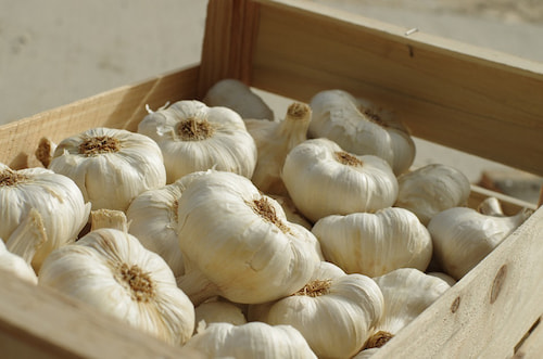 ingredients to make garlic bread, high quality garlic