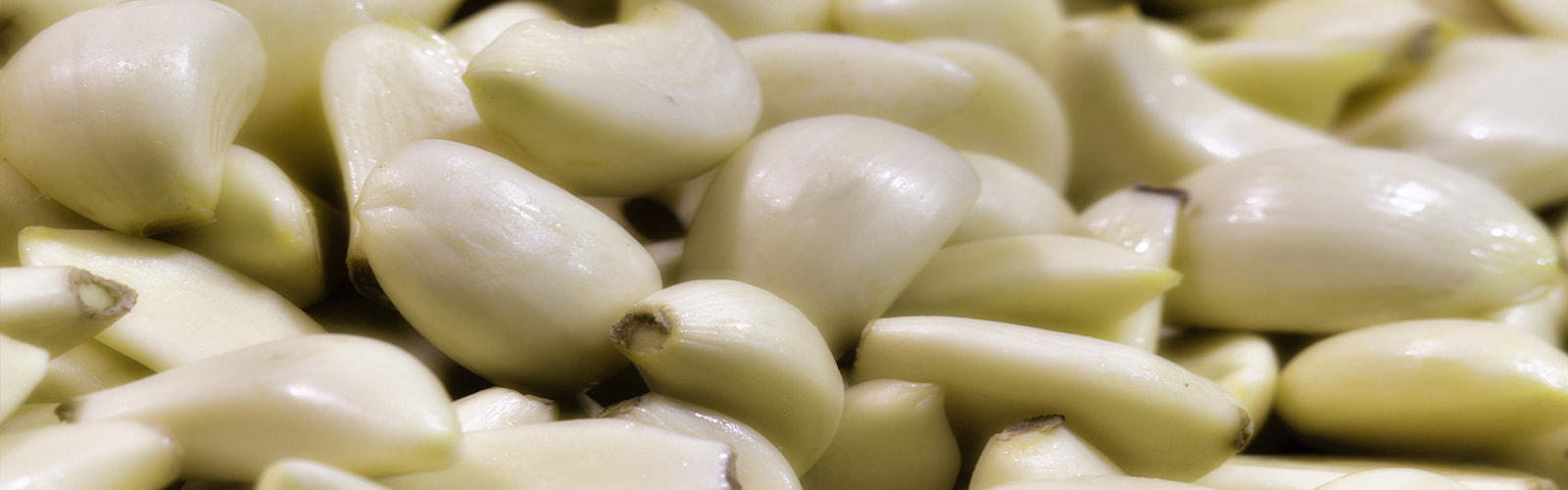 peeled Garlic Exporters from Spain